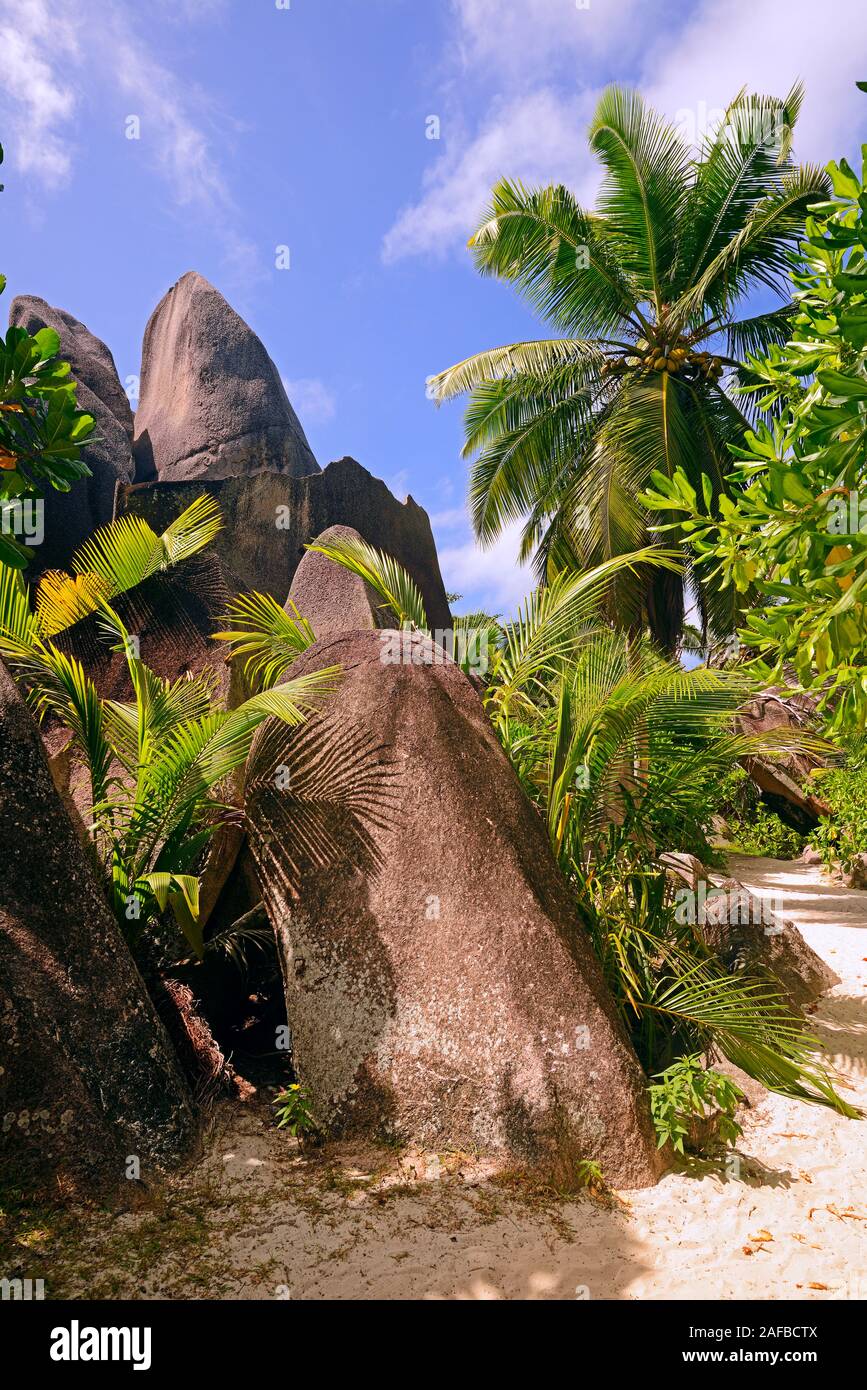 Palmen  und Granitfelsen am Traumstrand Source d`Argent, Insel La Digue, Seychellen Stock Photo